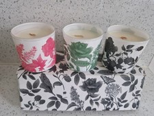 Partylite Spring Delights