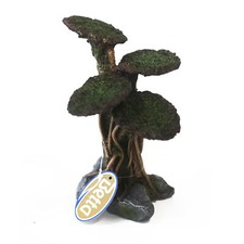 Betta Underwater Sunken Tree