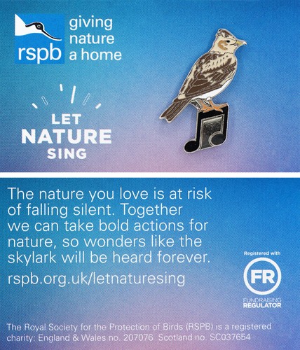 Rspb pin badge special gnah - rspb,