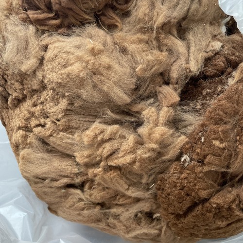 Alpaca fleece for - bird, nesting