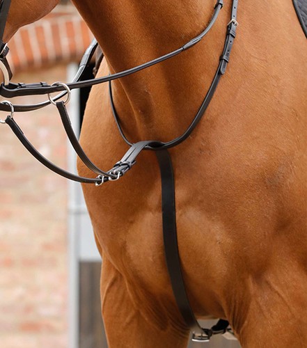 Premier equine santadi - equine,