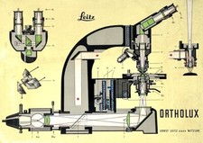 Rare Vintage Leitz Ortholux Diagram Poster 8”x11.5” Microscope