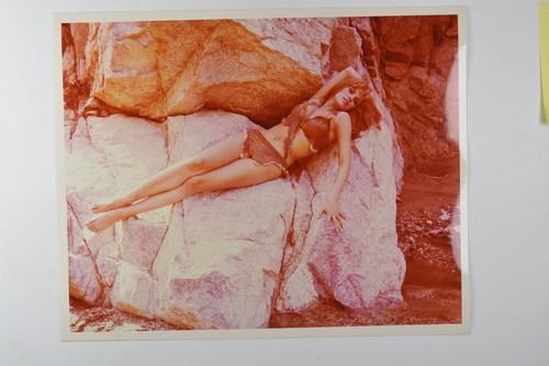 Raquel welch one million - raquel,
