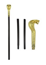 Egyptian Pharaoh Cane Snake