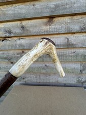 Vintage walking stick - walking,