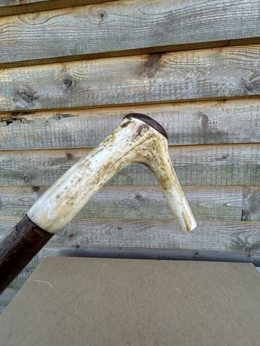 Vintage walking stick with - walking,