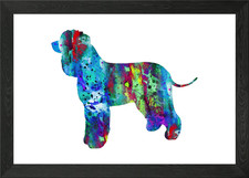 Irish Water Spaniel Framed