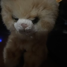 Steiff Ginger Tabby Kitty