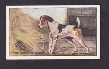 Sanders Crystal Jelly Dogs