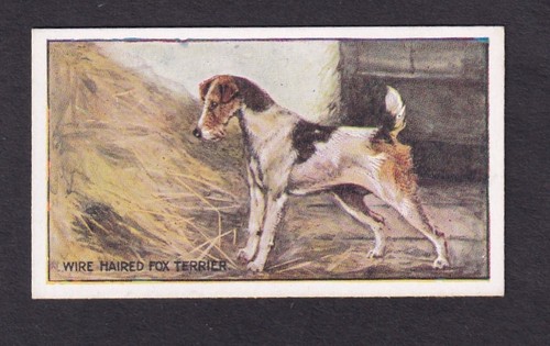 Sanders crystal jelly - crystal, dogs