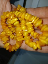 Vintage Genuine Yellow Egg