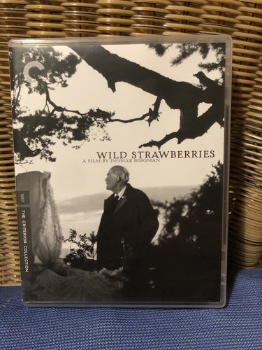 Wild strawberries ingmar - strawberries,