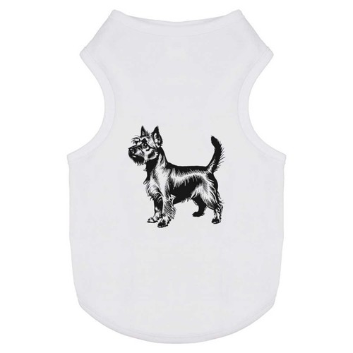 Silky terrier dog - dog', pet