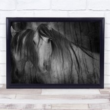 Horse Horses Emotion Eyes Ethology Mare Soul Action Mirror Wall Art Print