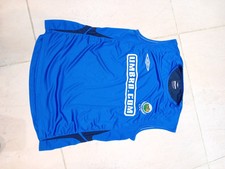 2004 Linfield Football Club
