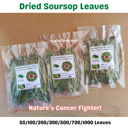 Dried soursop graviola - graviola, leaves