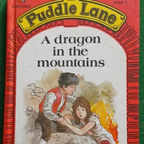 Puddle lane vintage ladybird - lane,