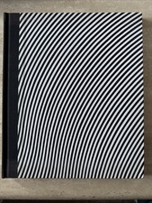 Bridget Riley Paintings