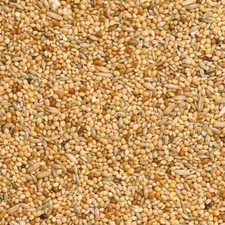 Budgie mix loose - budgie, bulk
