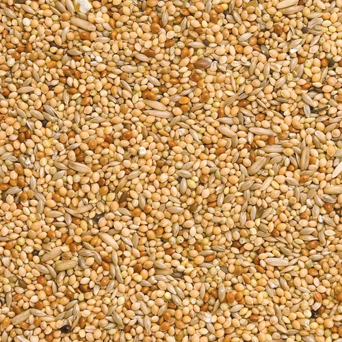 Budgie mix loose bulk - mix, bird
