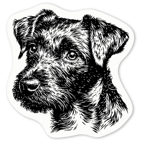 Patterdale terrier portrait - 'patterdale,