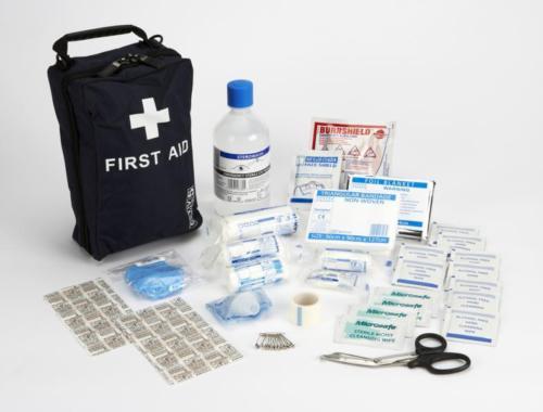 British standard travel med - british,