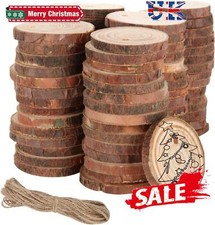 60/120Pcs Wood Slices Discs