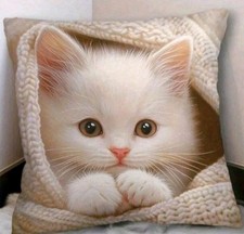 1 X Printed Cute Kitten Cat Cushion Covers Scatter Decorative cushions Cats