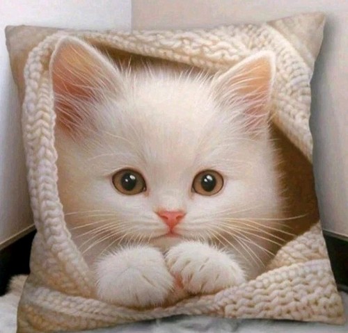Printed cute kitten cat - printed,