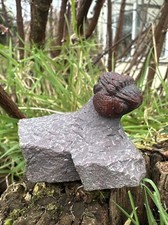 Rare Austerops trilobite from
