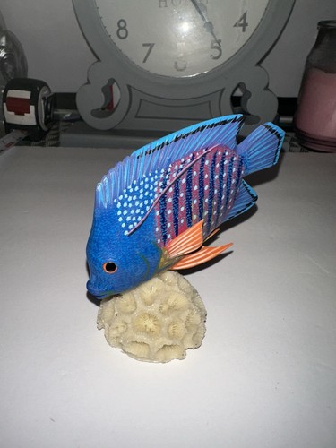 Tropical angel fish coral - fish, on