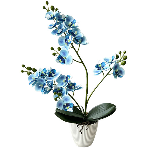 Artificial phalaenopsis orchid - phalaenopsis,