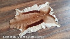 Springbok Hide Rug Natural