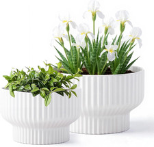 Large  Ceramic Plant Pots with