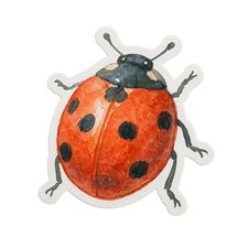 Ladybug 9x9cm Car Decal
