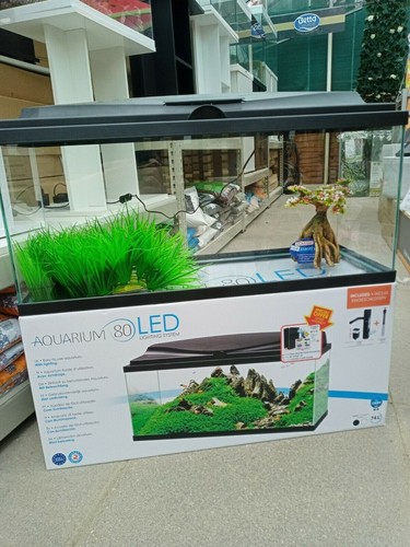 Brand new large glass - large,