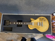 Heavy duty guitar - flight, case