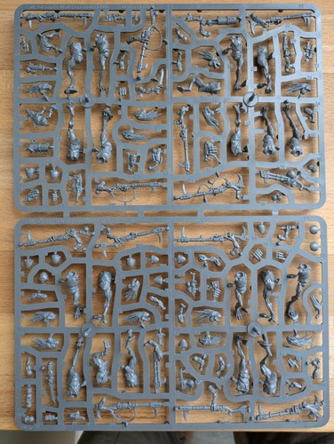 Kroot carnivores nos no - carnivores,