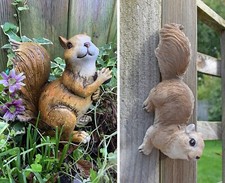 Climbing red squirrel garden - red,