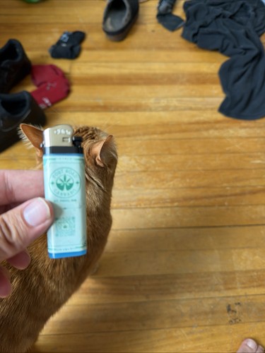 Cannabis company branded - cannabis,