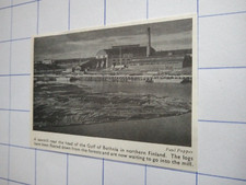 Sawmill near the head of the gulf of bothnia northern Finland  1960