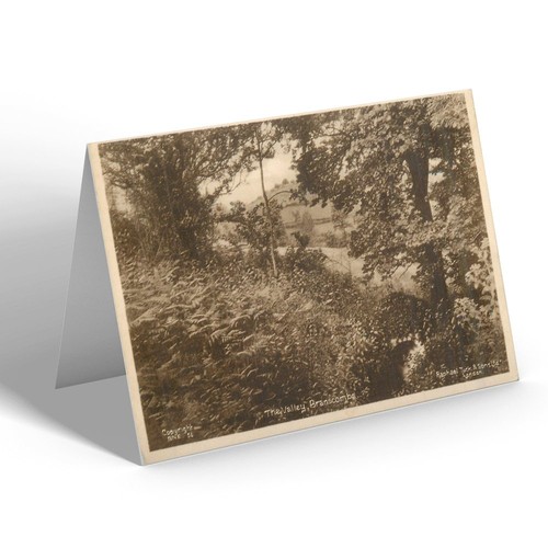 Notelet vintage devon the - vintage,