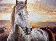 Horse sunset original - sunset,