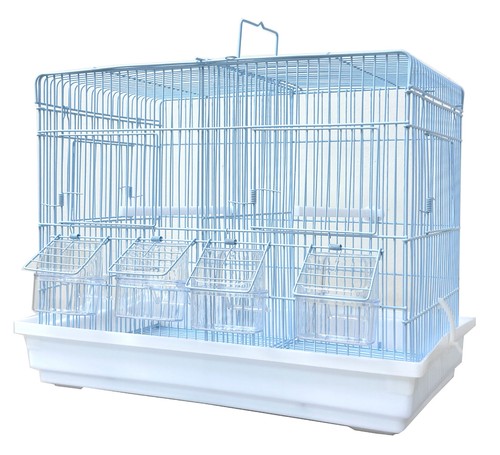 Canary budgie aviary - canary,