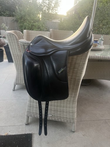 Amerigo vega dressage - vega,