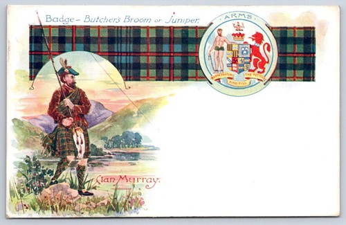 Antique scotland clan murray - antique,