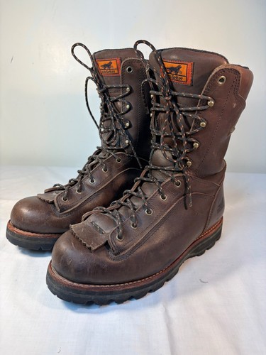 Irish setter work - setter, boots