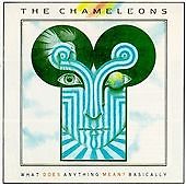 The chameleons what does - the,