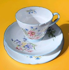 Shelley English Bone China
