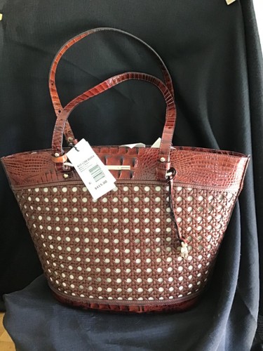 Retired brahmin medium - retired, bowie